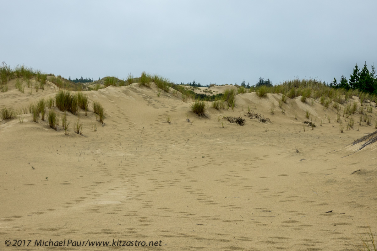 oregondunes