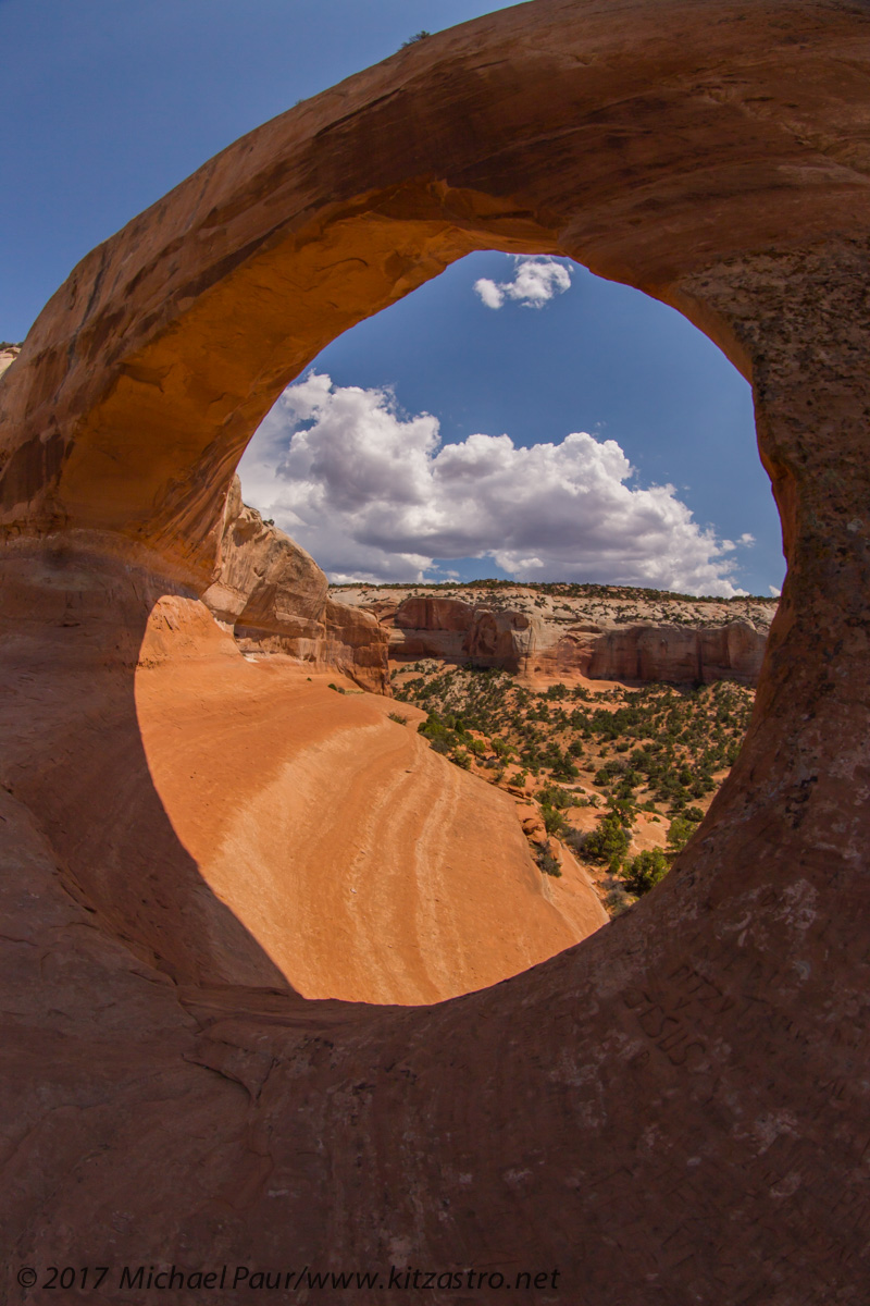 wilson arch