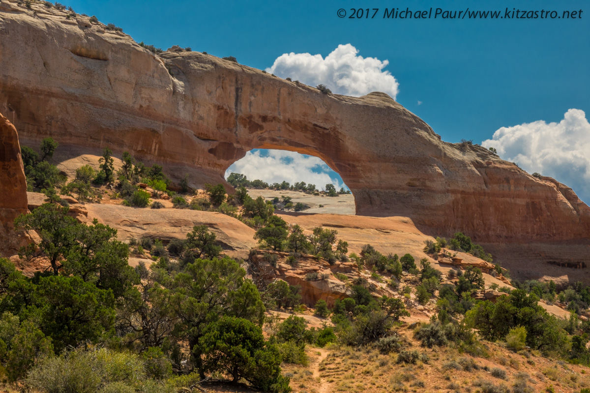 wilson arch