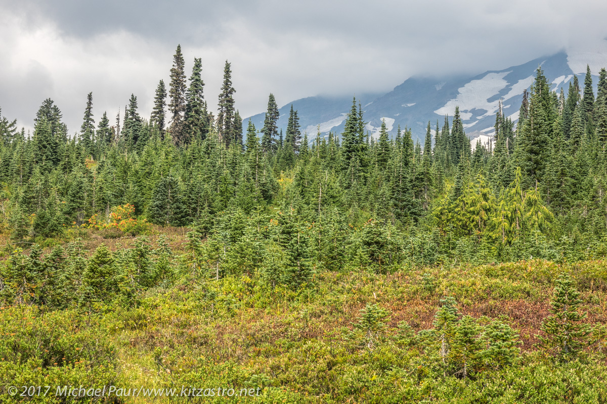 mtrainier